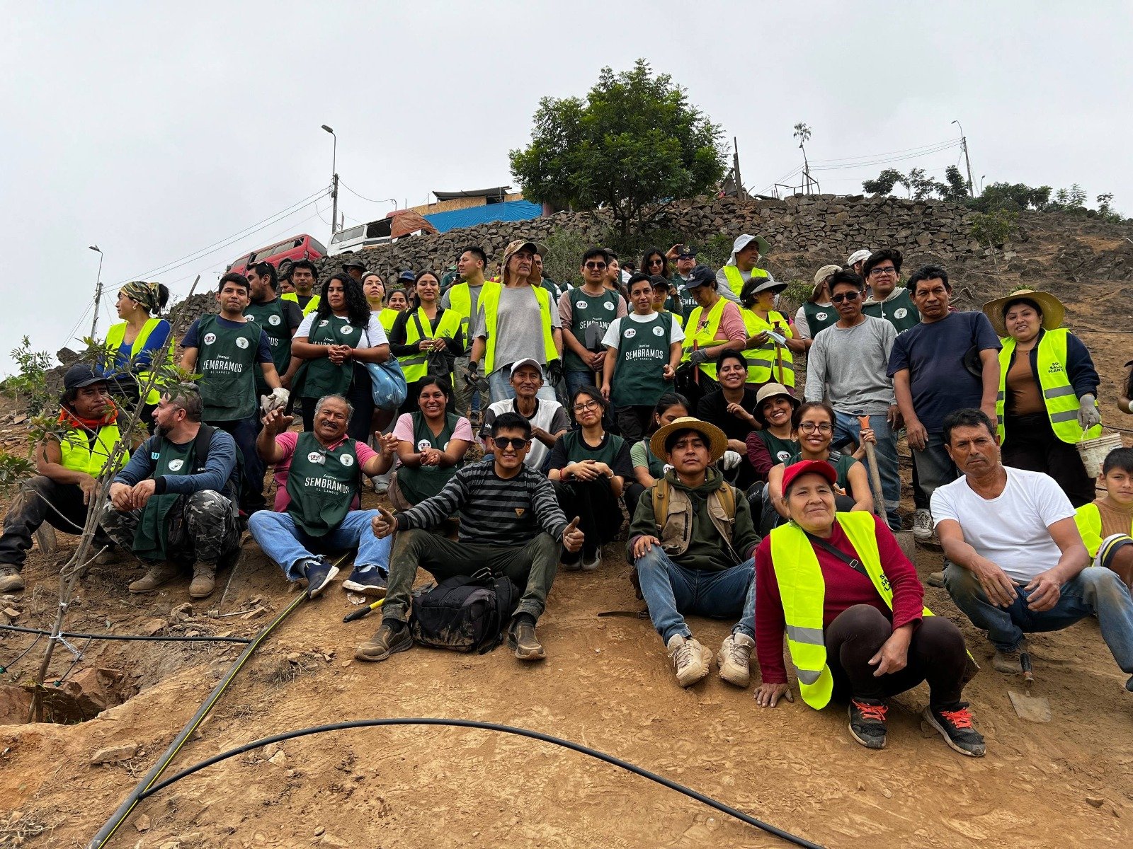 Labor social y convocatoria MEYIPS