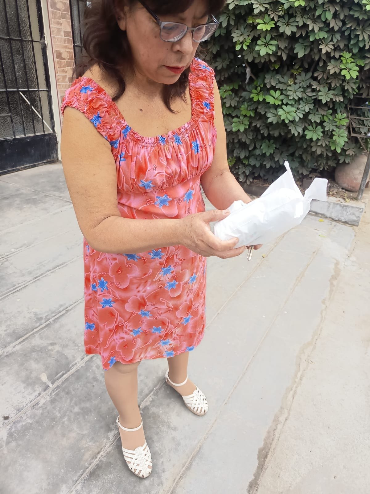 Cliente con pedido MEYIPS entregado