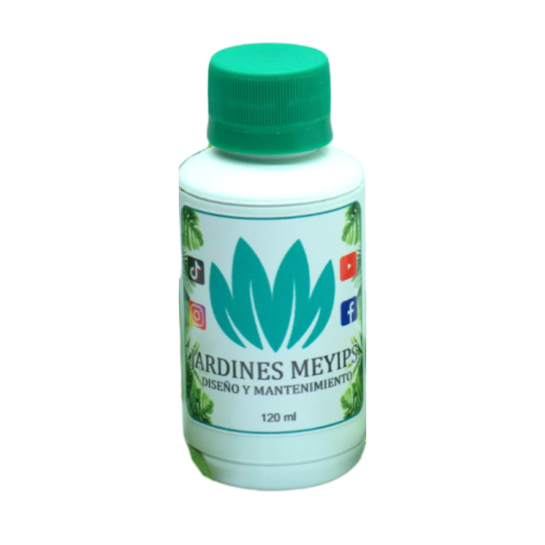 Vitamina ANN 120ml