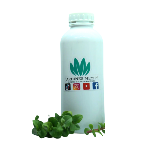 Vitamina ANN 1 Litro