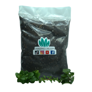Sustrato para Plantas de Interior