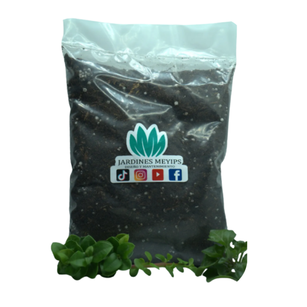 Sustrato para Plantas de Interior